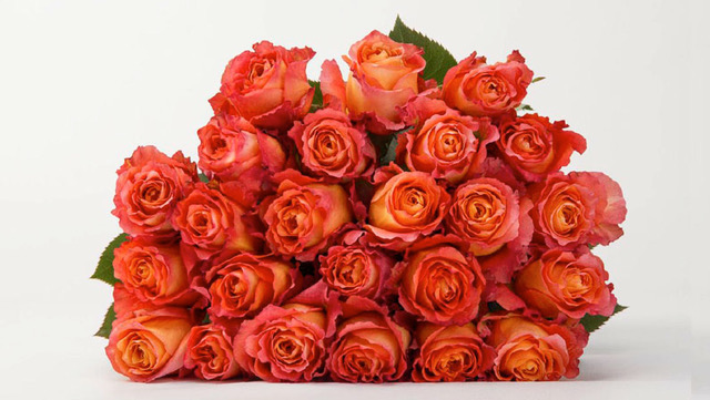 bloomsybox